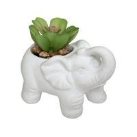 Planta-Artificial-con-Maceta-Elefante-h10-cm-181499