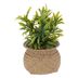 Planta-Artificial-con-Maceta-h20-cm-196755