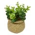 Planta-Artificial-con-Maceta-h18-cm-210243