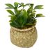 Planta-Artificial-con-Maceta-h18-cm-210243