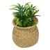 Planta-Artificial-con-Maceta-h18-cm-210243