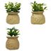 Planta-Artificial-con-Maceta-h18-cm-210243
