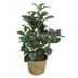 Planta-artificial-con-maceta-165x51-cm