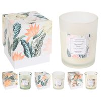 Vela-en-vaso-surtidas