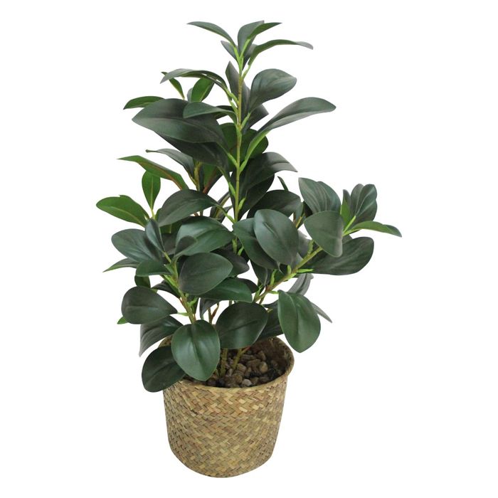Planta-artificial-con-maceta-165x51-cm