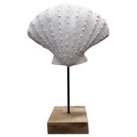 Ostra-marina-Blanca-con-soporte-225x10x34-cm-fo-2338