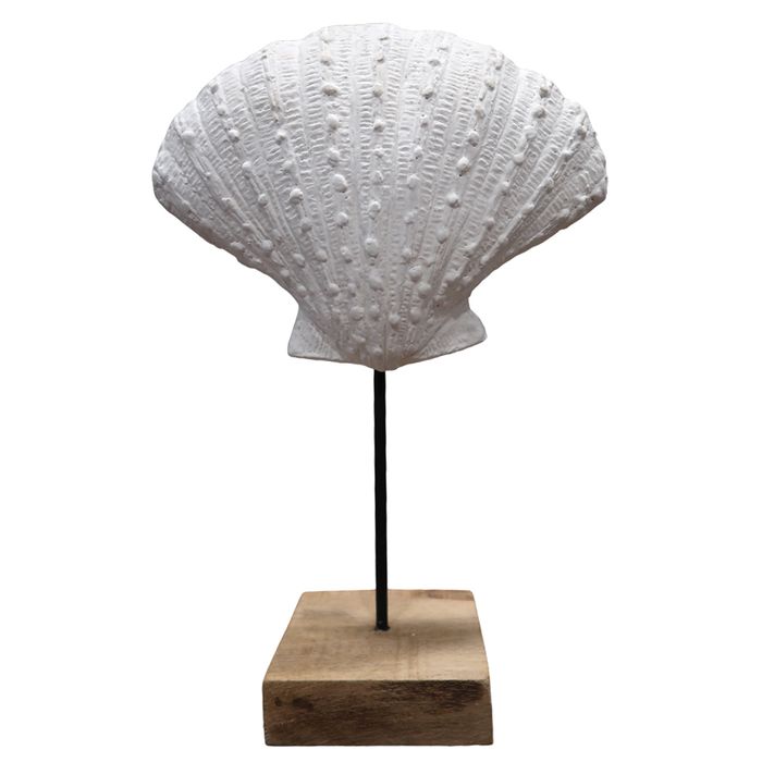 Ostra-marina-Blanca-con-soporte-225x10x34-cm-fo-2338