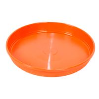 Plato-14---Simil-Barro