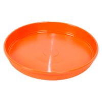 Plato-16---Simil-Barro