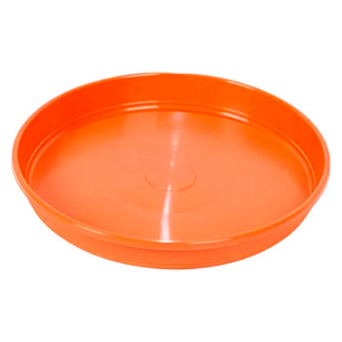 Plato-16---Simil-Barro