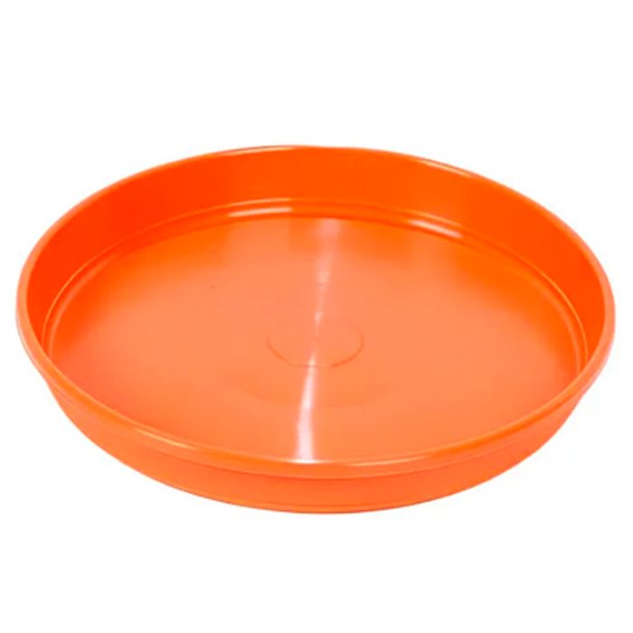 Plato-20---Simil-Barro