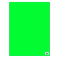 Cartulina-fluo-hoja-47x66-cm-210-g-Verde