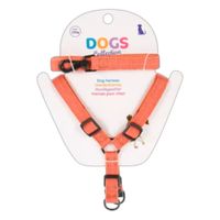 Arnes---Correa-para-Perros