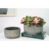 Maceta-de-cemento-17x9-cm