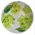 Plato-Hondo-en-Melamina-Hortensias-Verdes-206-cm
