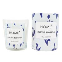 Vela-Aromatica-en-Votivo-Cactus